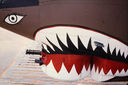 CobraAH1-Teeth Closeup