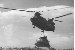 Hillclimber Chinook on Chinook evacuation.