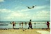 A Hillclimber flys past Back Beach in Vung Tau, South Vietnam.
