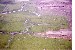 Artillery damage to the countryside in Vietnam.